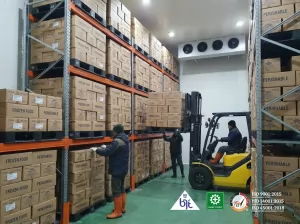 Fitur-Fitur Penting yang Harus Dimiliki Cold Room Modern